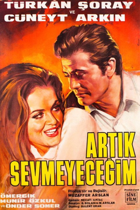 Artık Sevmeyeceğim afişi