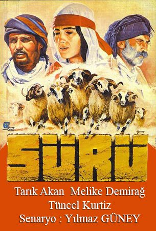 Sürü afişi