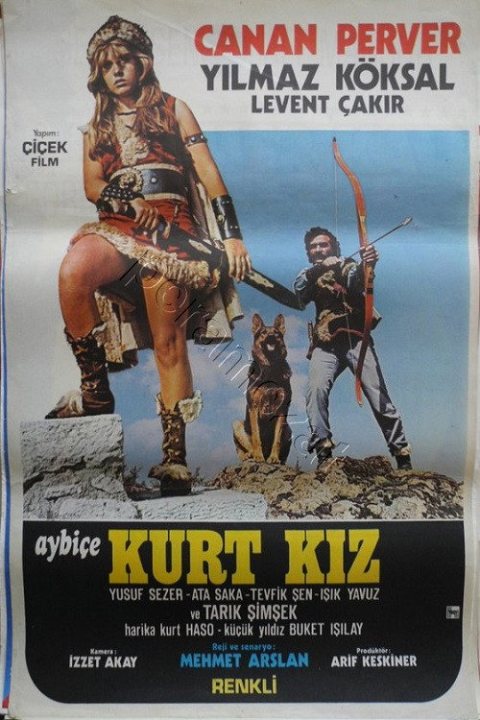 Aybiçe Kurt Kız afişi