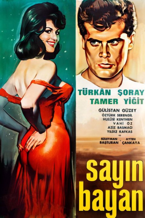Sayın Bayan afişi