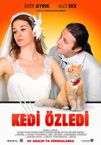 Kedi Özledi (Yaygaracı) afişi