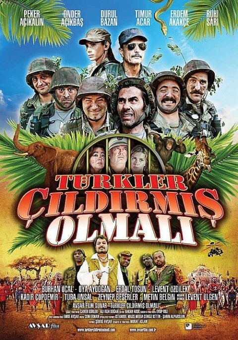 Türkler Çıldırmış Olmalı afişi