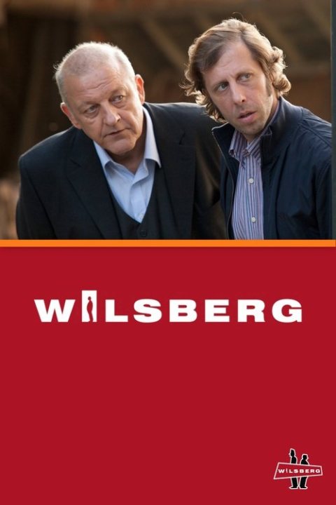 Wilsberg afişi