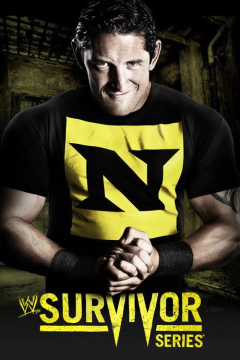 WWE Survivor Series 2010 afişi