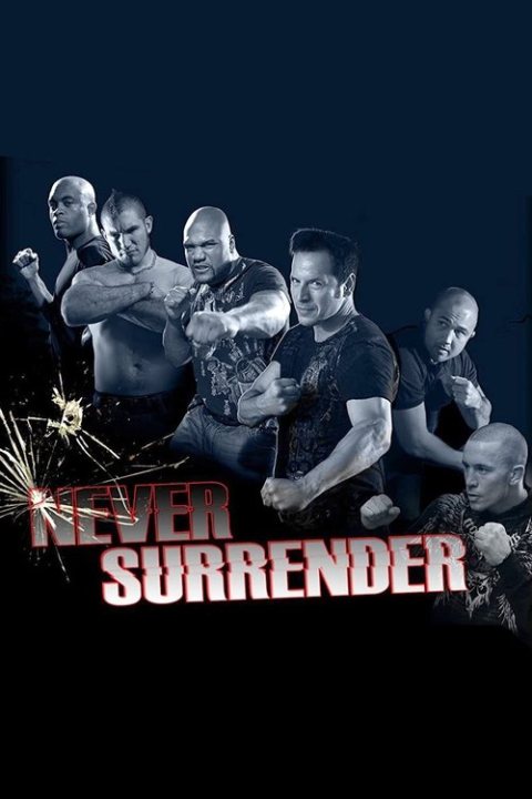 Never Surrender afişi