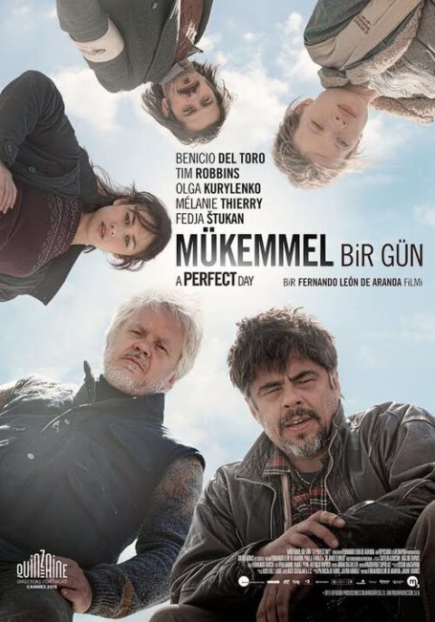 Mükemmel Bir Gün afişi