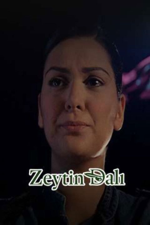 Zeytin Dalı afişi