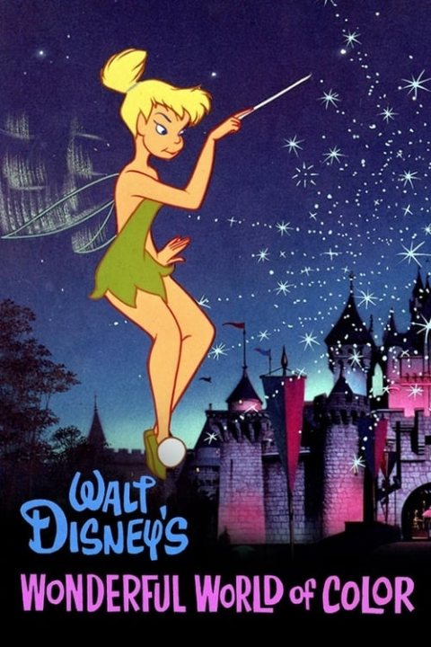 The Wonderful World of Disney afişi