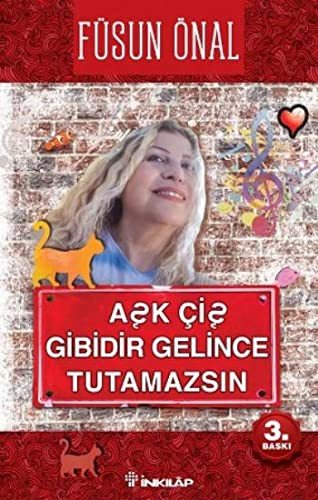 Aşk Çiş Gibidir Gelince Tutamazsın kapağı