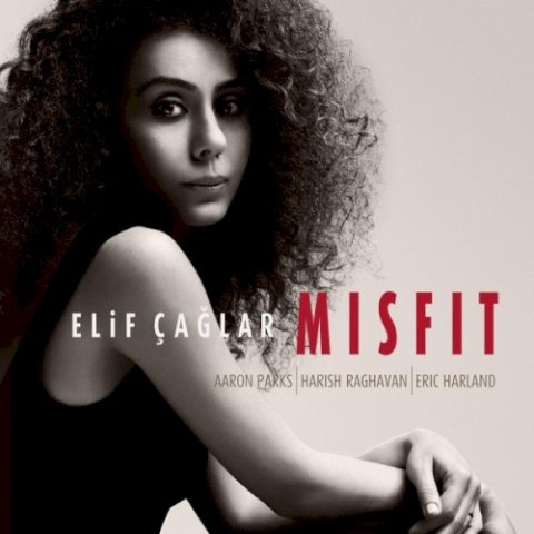 Misfit kapağı