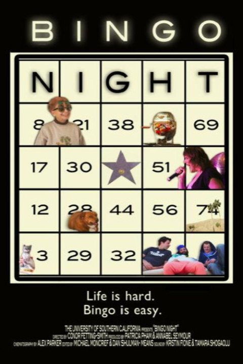 Bingo afişi