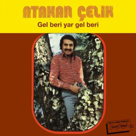 Gel Beri Yar Gel Beri kapağı