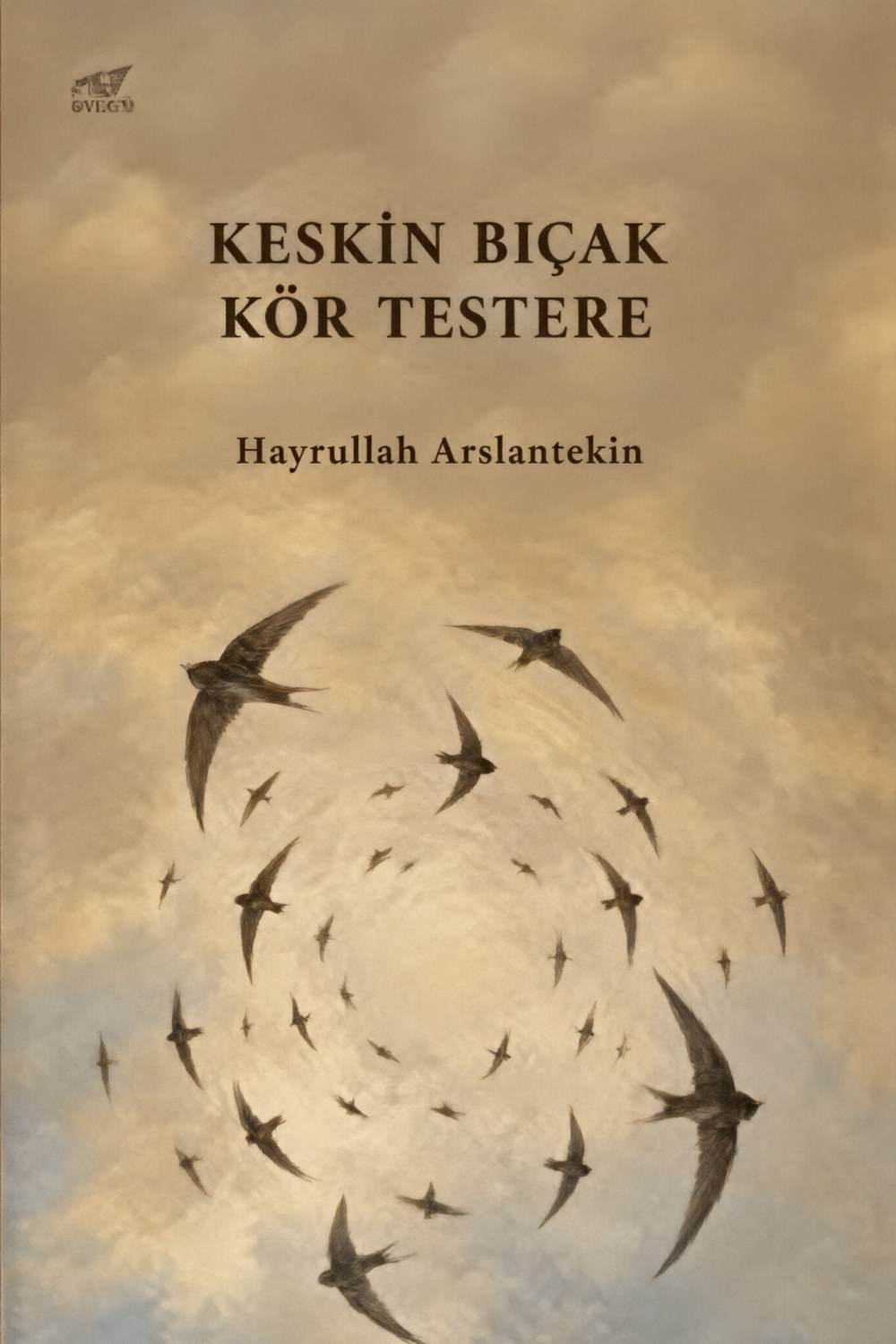 Keskin Bıçak Kör Testere kapağı