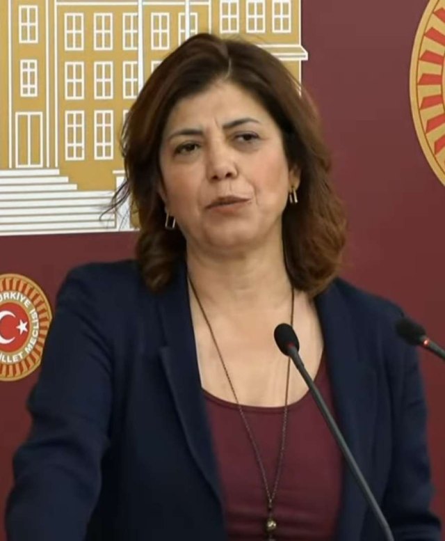 Meral Danış Beştaş portresi