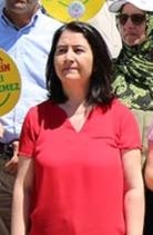 Serpil Kemalbay portresi