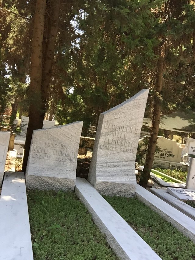 Orhan Aldıkaçtı portresi