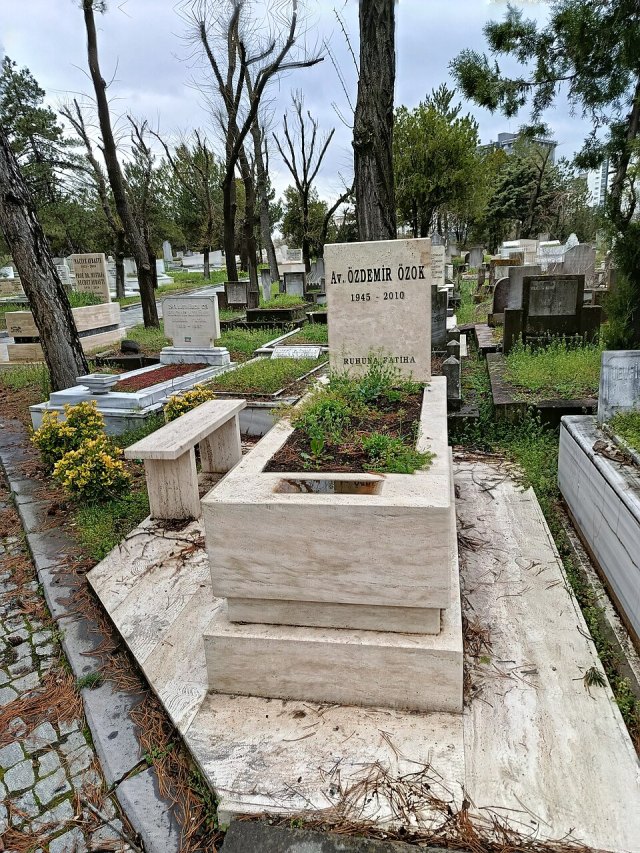 Özdemir Özok portresi