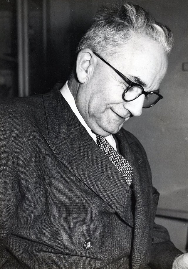 Tahsin Banguoğlu portresi