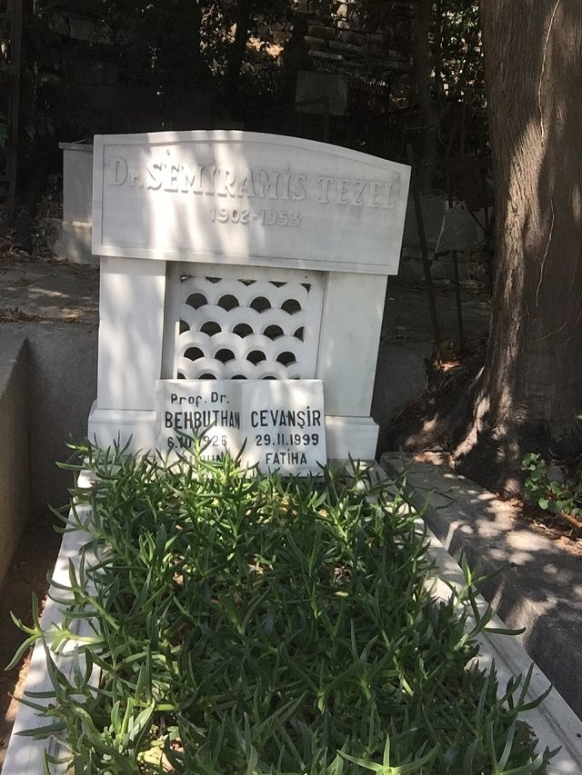 Behbud Cevanşir portresi