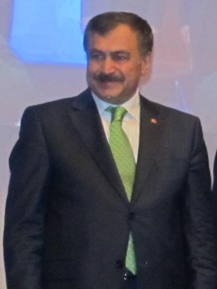 Veysel Eroğlu portresi