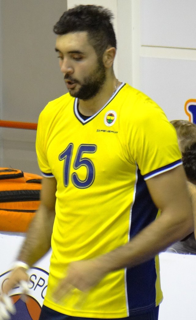 Metin Toy portresi