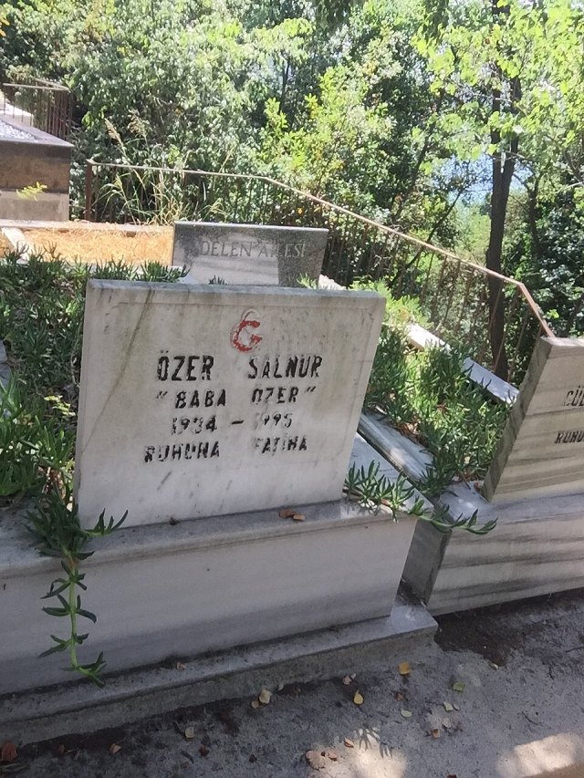 Özer Salnur portresi