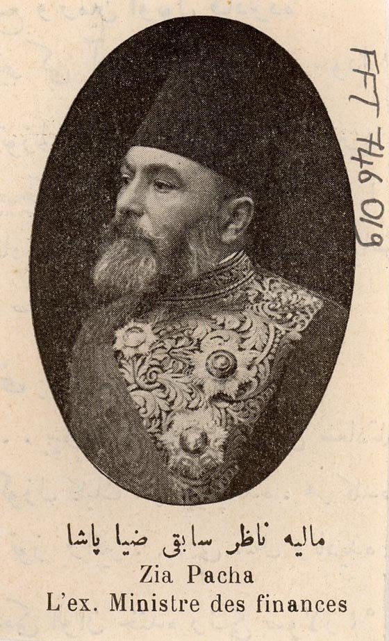 Mehmed Ziyâ Paşa portresi