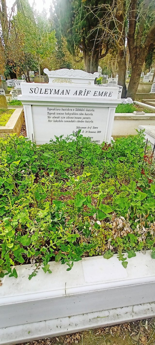 Süleyman Arif Emre portresi