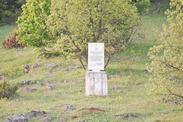 Angel Tanasov portresi