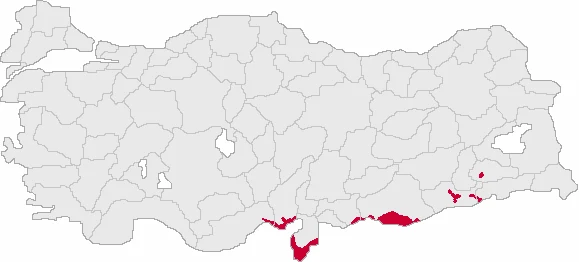 Türkiye Arapları portresi