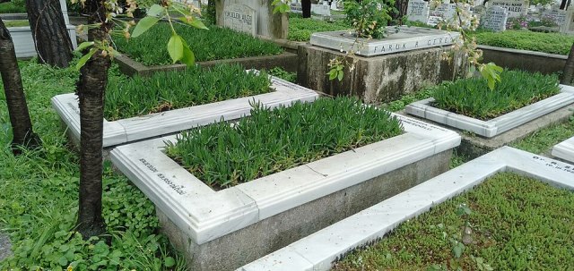 Galip Kemali Söylemezoğlu portresi