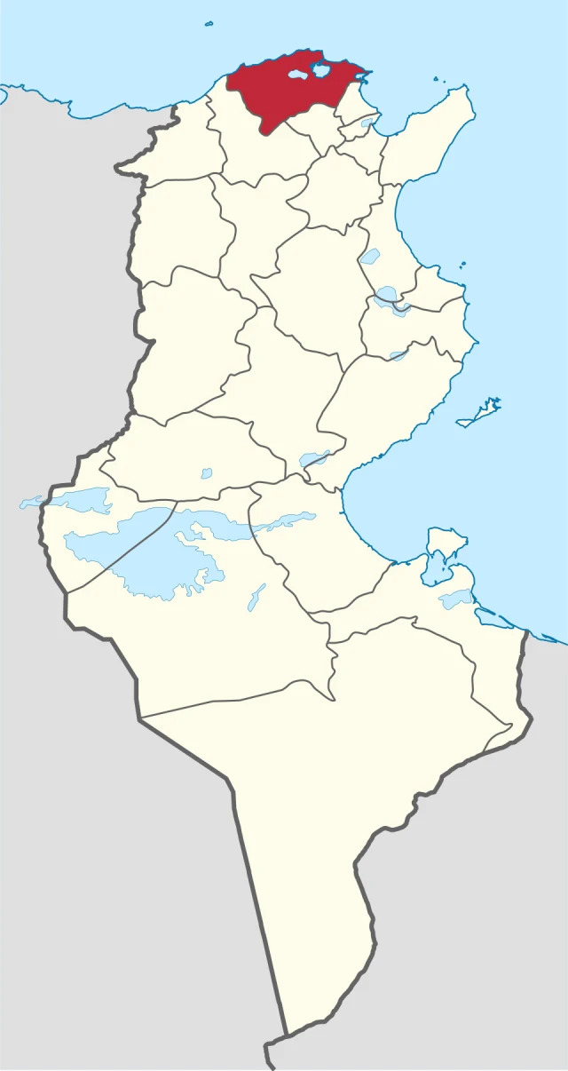 Bizerte Kuşatması portresi