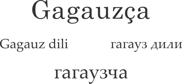 Gagavuzca portresi