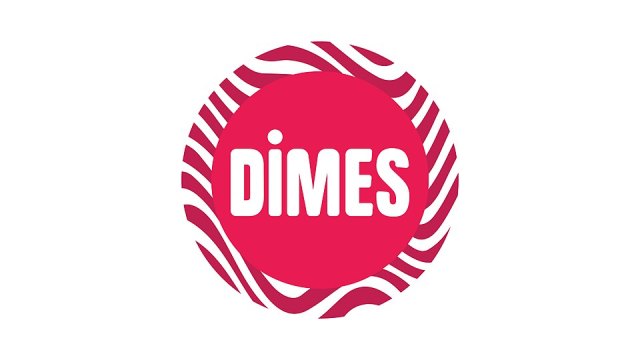 Dimes portresi