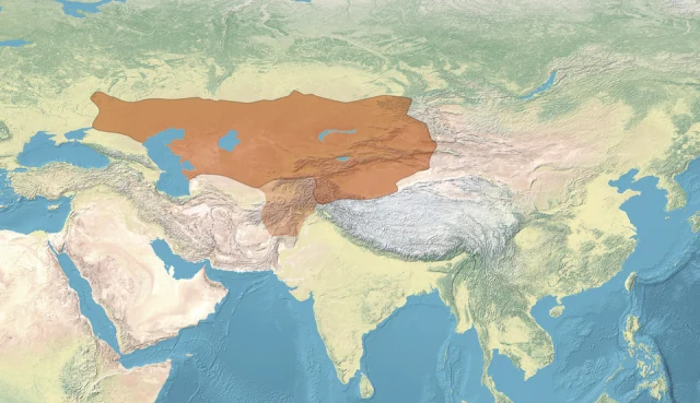 Batı Türk Kağanlığı portresi