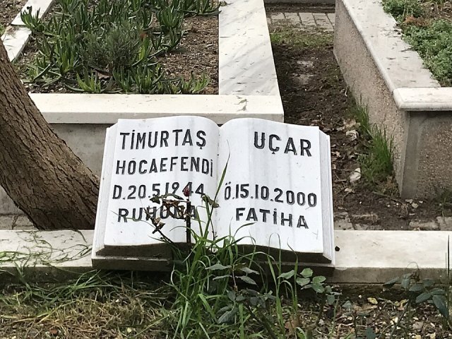 Timurtaş Uçar portresi