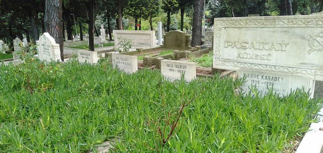 Ahu Paşakay portresi