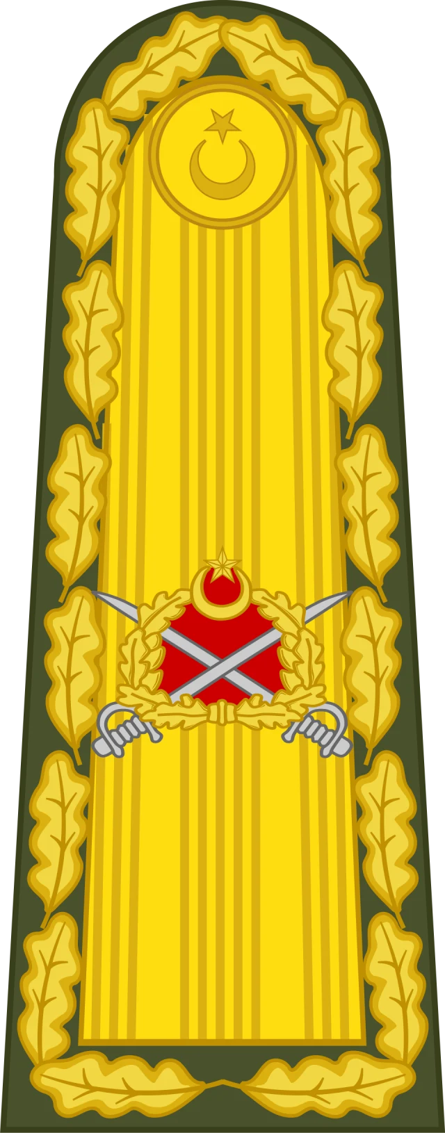 Mareşal (Türkiye) portresi