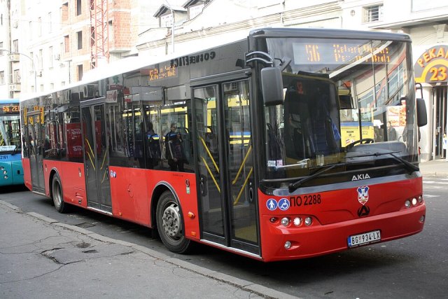 Akia portresi