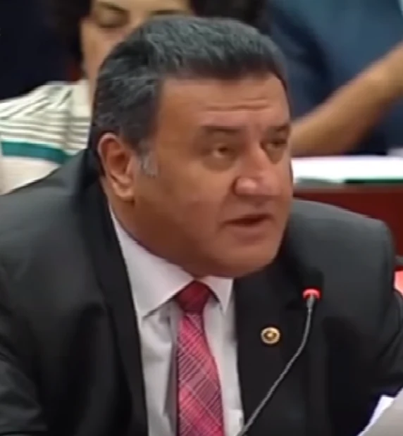 Ömer Fethi Gürer portresi
