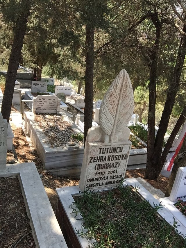 Zehra Kosova portresi