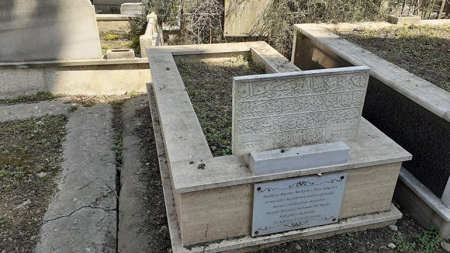 Mehmet Ali Bey (veteriner) portresi