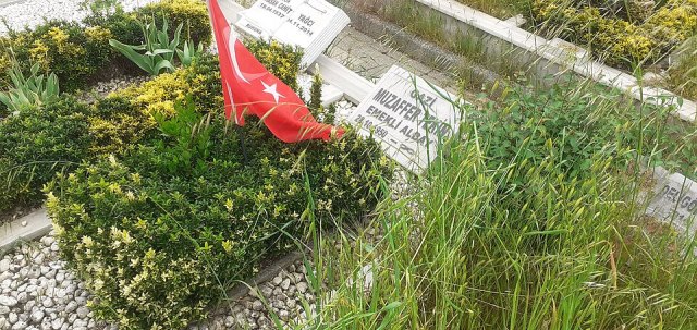 Muzaffer Tekin portresi