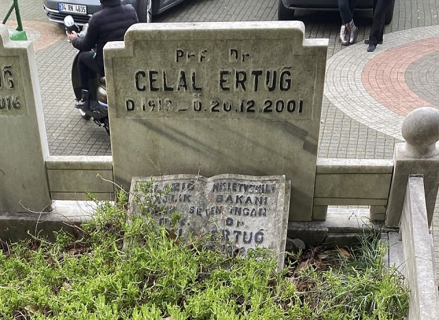 Celal Ertuğ portresi