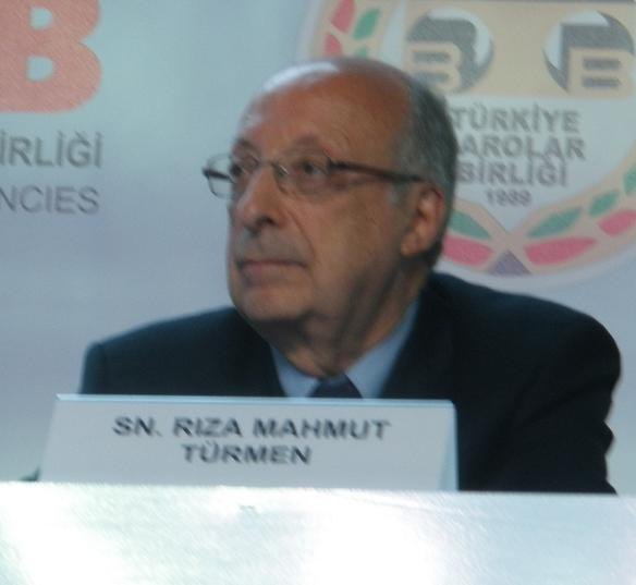 Rıza Türmen portresi
