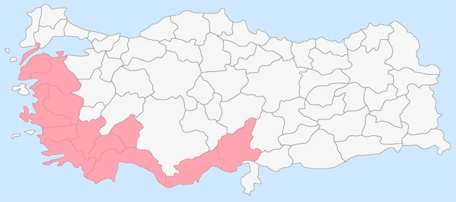 Tahtacılar portresi