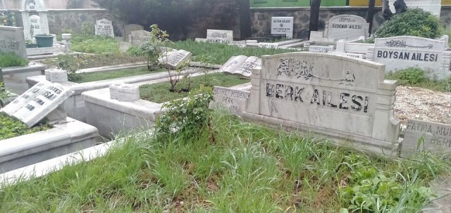 Medeni Berk portresi