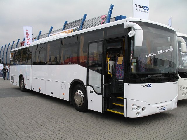 Temsa portresi