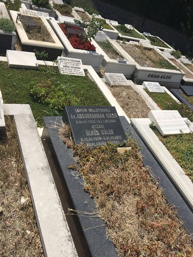 Abdurrahman Güler portresi