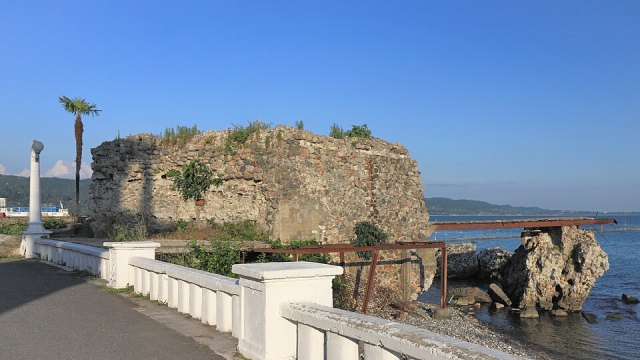 Sohum Çıkarması (1877) portresi